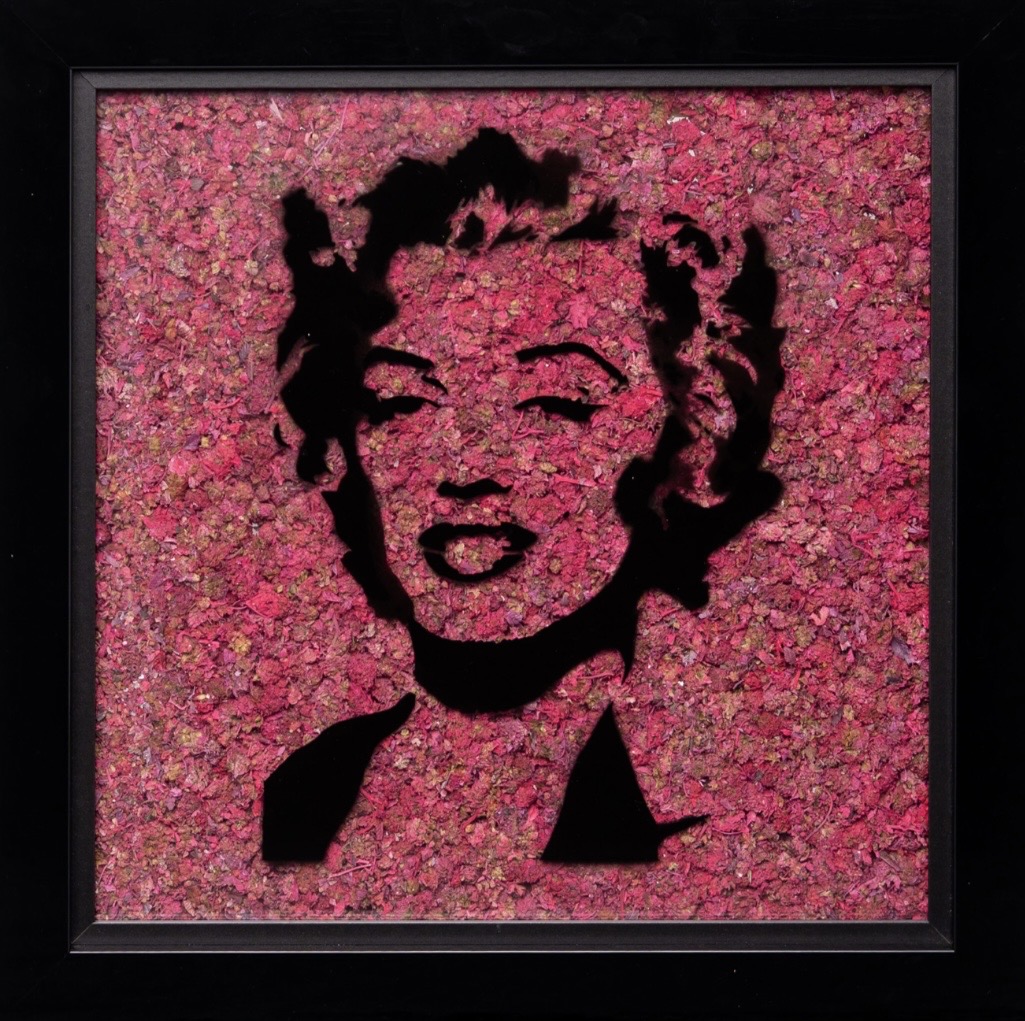 Neon Pink Monroe by Mr Trim