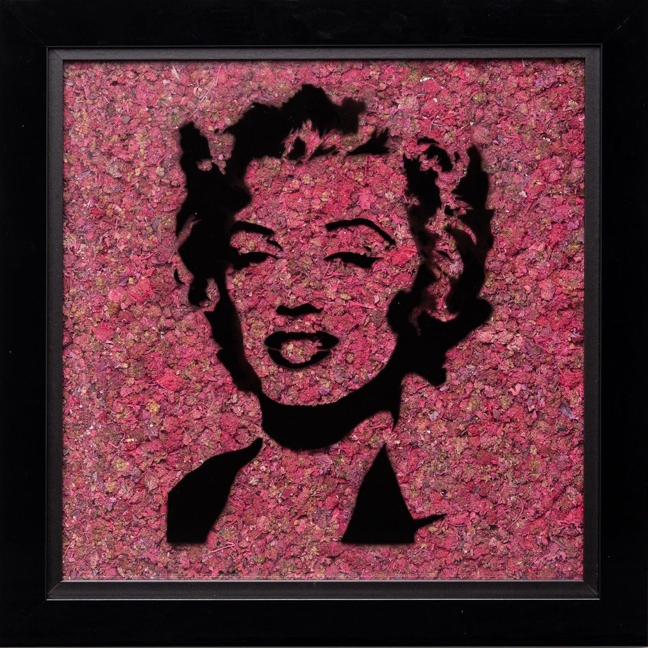 Pink Monroe by Mr Trim