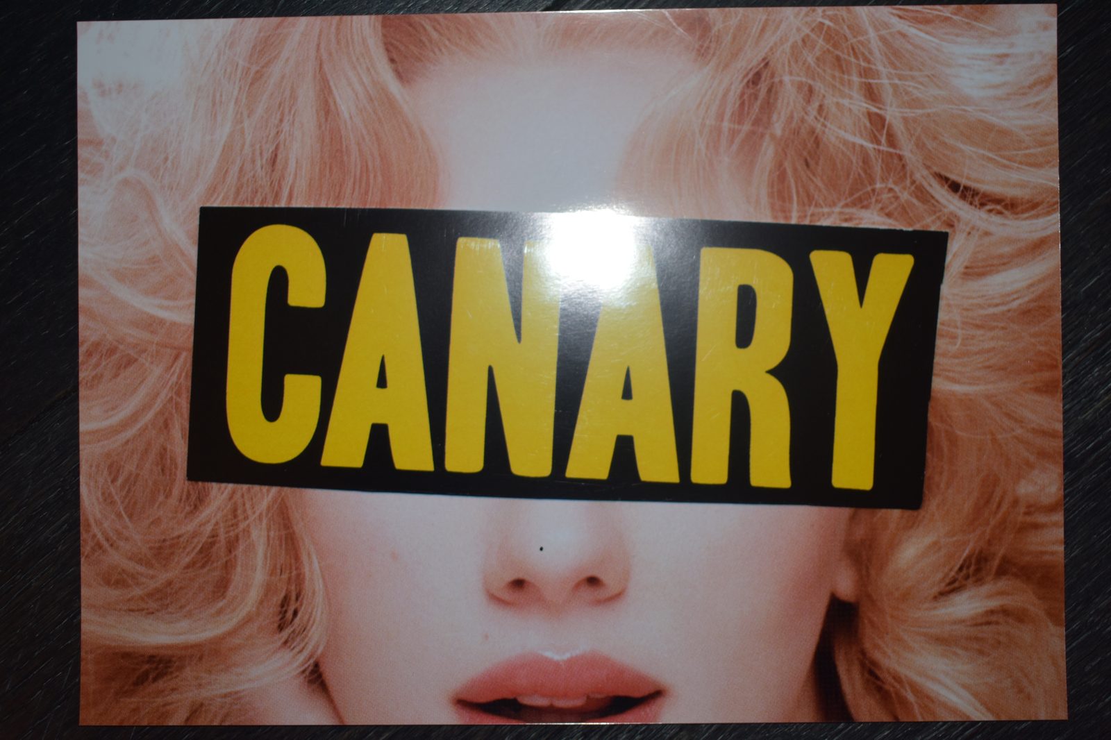 Canary by Anonymous