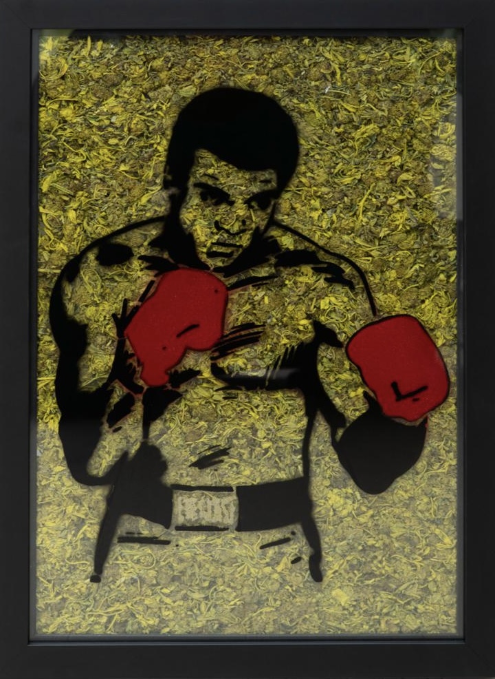 Yellow Ali by Mr Trim