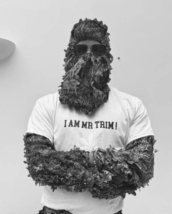 Mr Trim